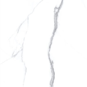 38612656 (3)