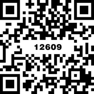 12609金帝米黄
