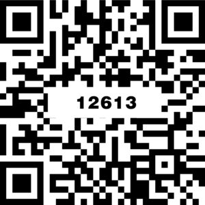 12613昆仑玉