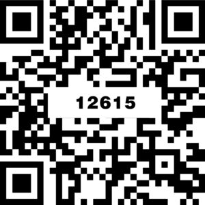 12615珂布利斯灰