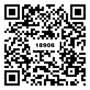 18906