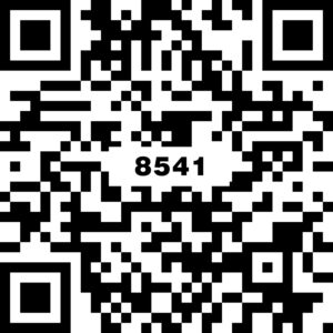 8541