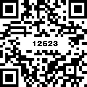 12623啡斯玛深灰