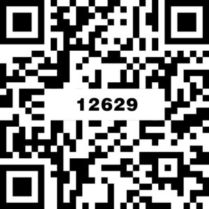 12629特斯拉深灰