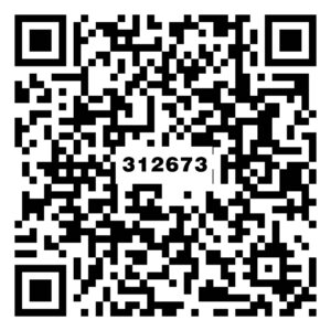 312673
