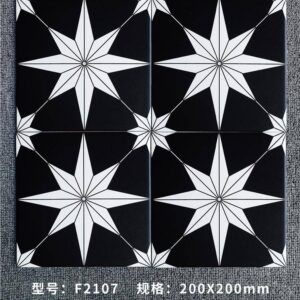 F2107 (1)